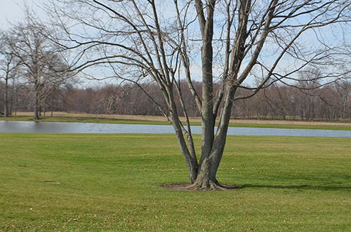 Property photo 78 - REAL ESTATE & PERSONAL PROPERTY AUCTION, 140 Acres offered in 8 Tracts or Combinations in Steuben County